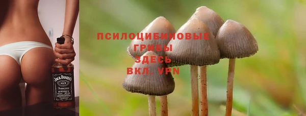 соль ск Богородицк
