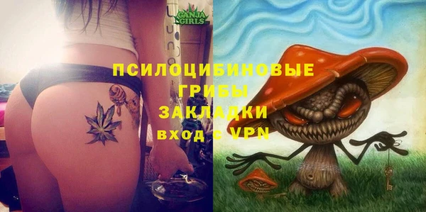 соль ск Богородицк