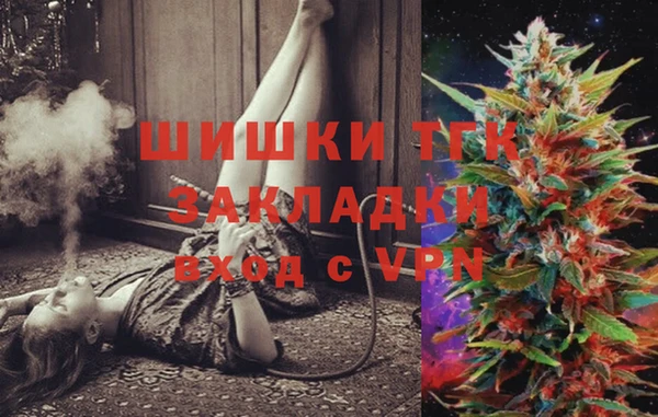 хмурый Богородск