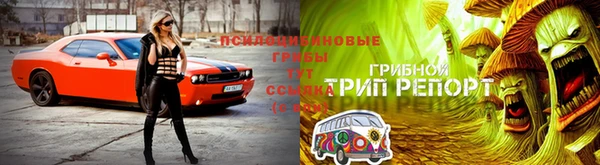 соль ск Богородицк