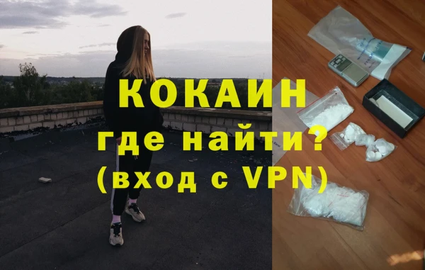 спайс Ладушкин
