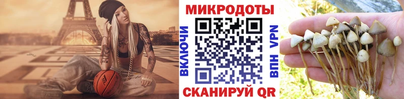 Галлюциногенные грибы прущие грибы  купить наркотики сайты  Можга 